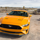 Image for article titled I Am a Mustang Woman Now